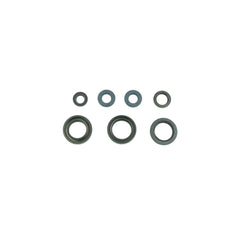 Engine Oil Seals Kit-0