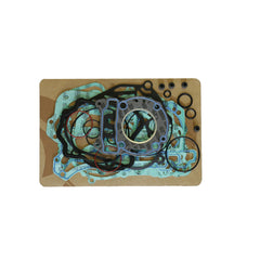 Complete Gasket Kit (oil seals not included)-1