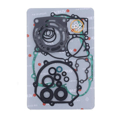 Complete Gasket Kit (oil seals included)-1
