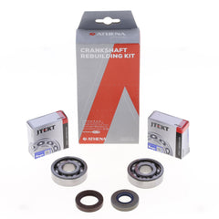 Crankshaft Rebuilding Kit: Bearing and Oil Seal Kit-0