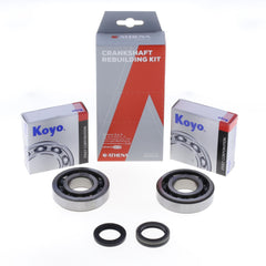 Crankshaft Rebuilding Kit: Bearing and Oil Seal Kit-0
