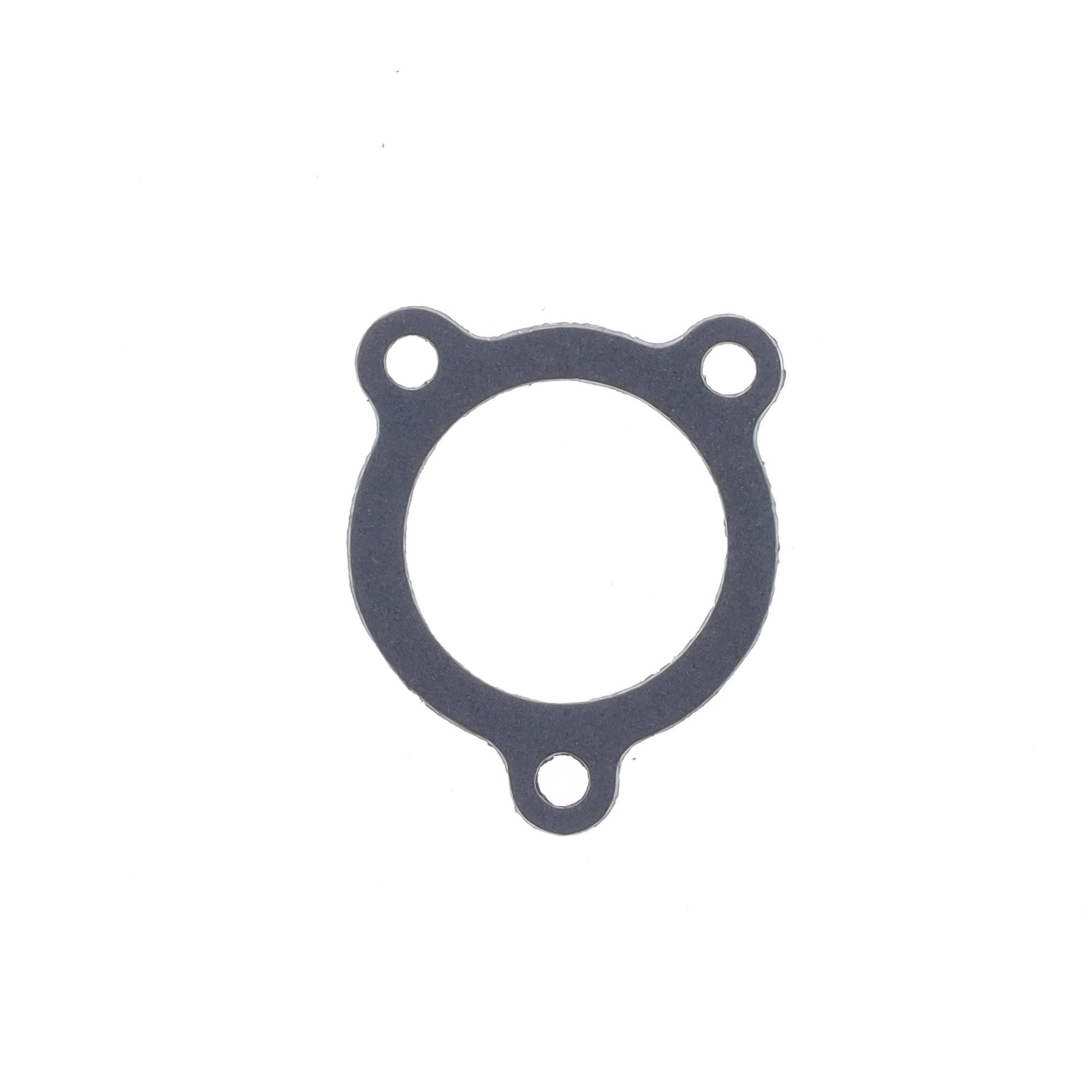 Exhaust Gasket-0