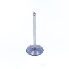 Intake Valve-0
