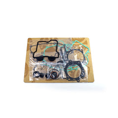 Complete Gasket Kit (oil seals included)-1