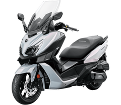CRUISYM 300